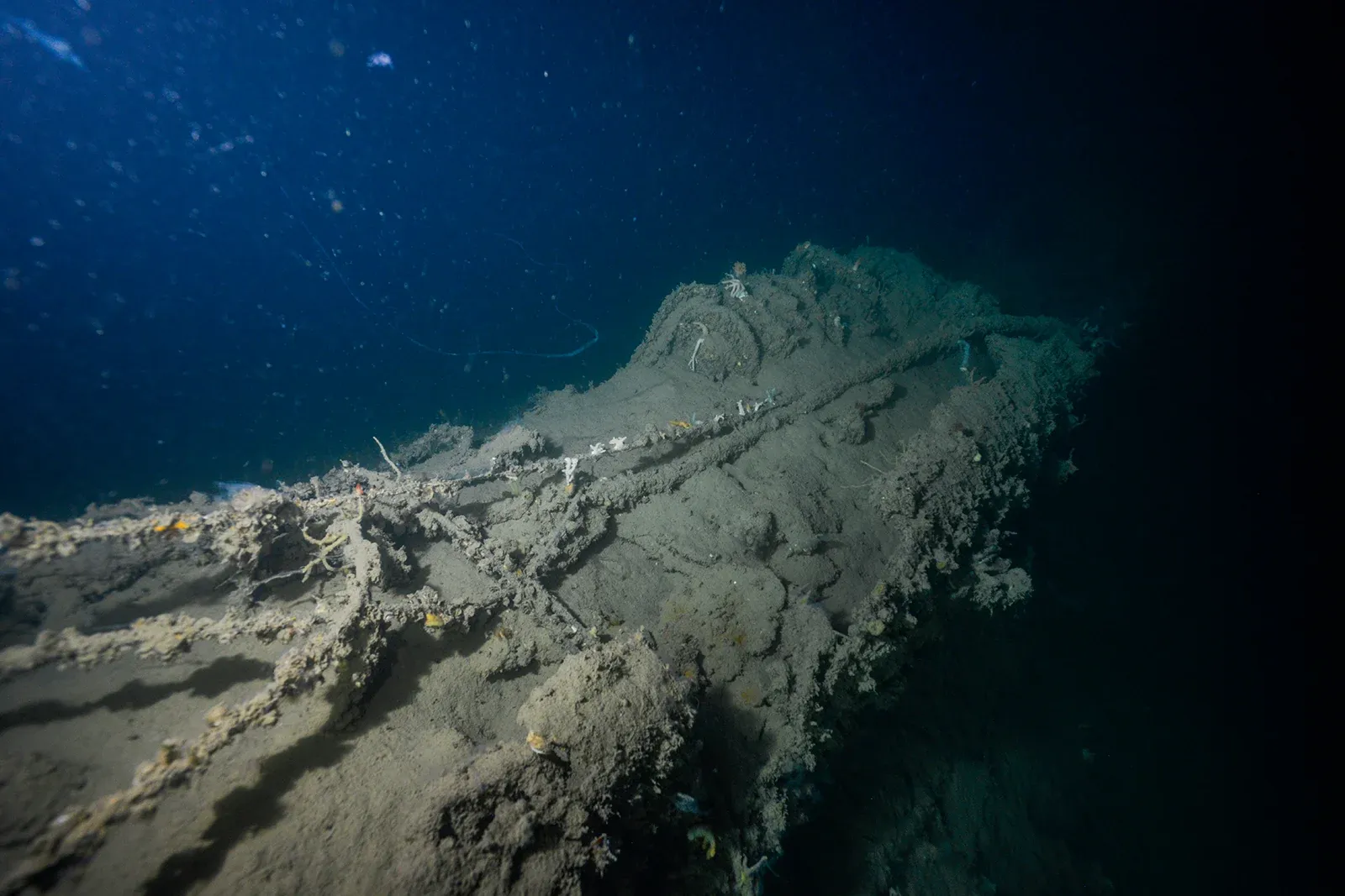 Diving Gelibolu
