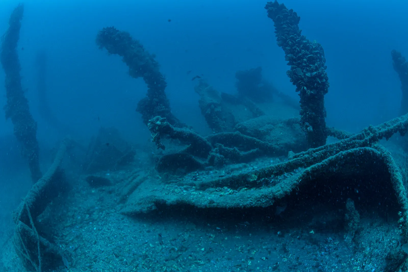 Diving Gelibolu