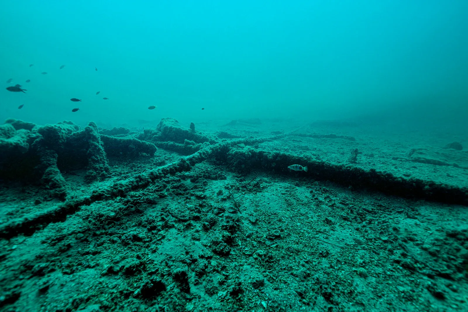 Diving Gelibolu