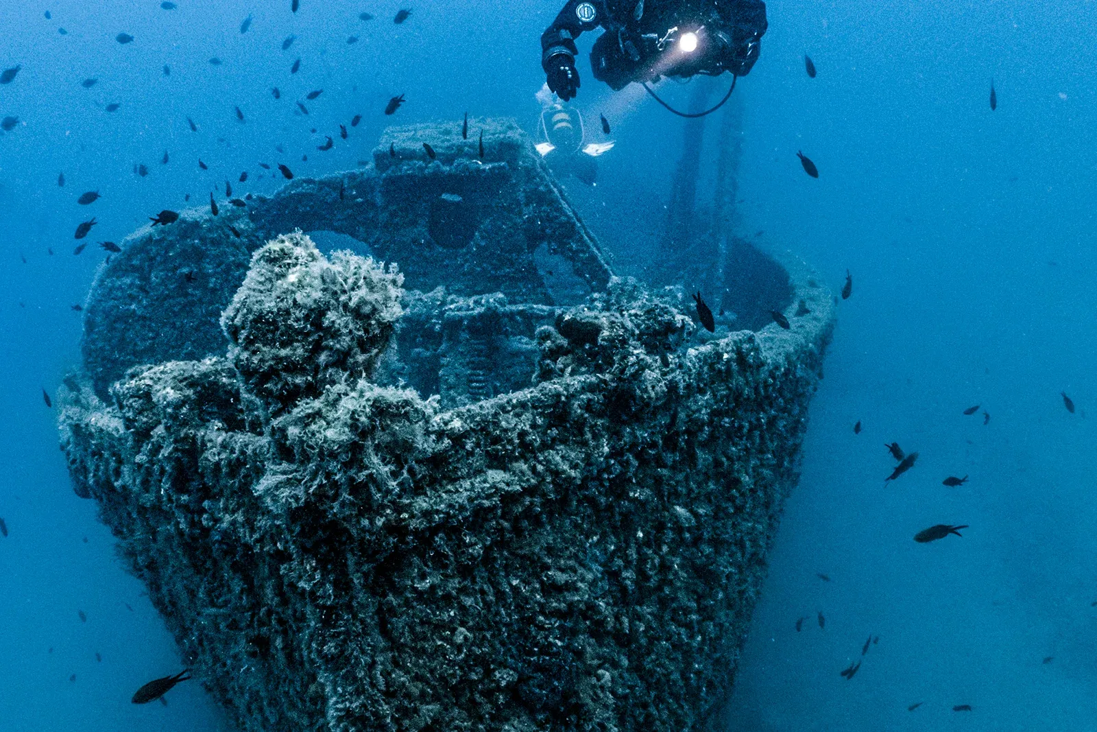 Diving Gelibolu