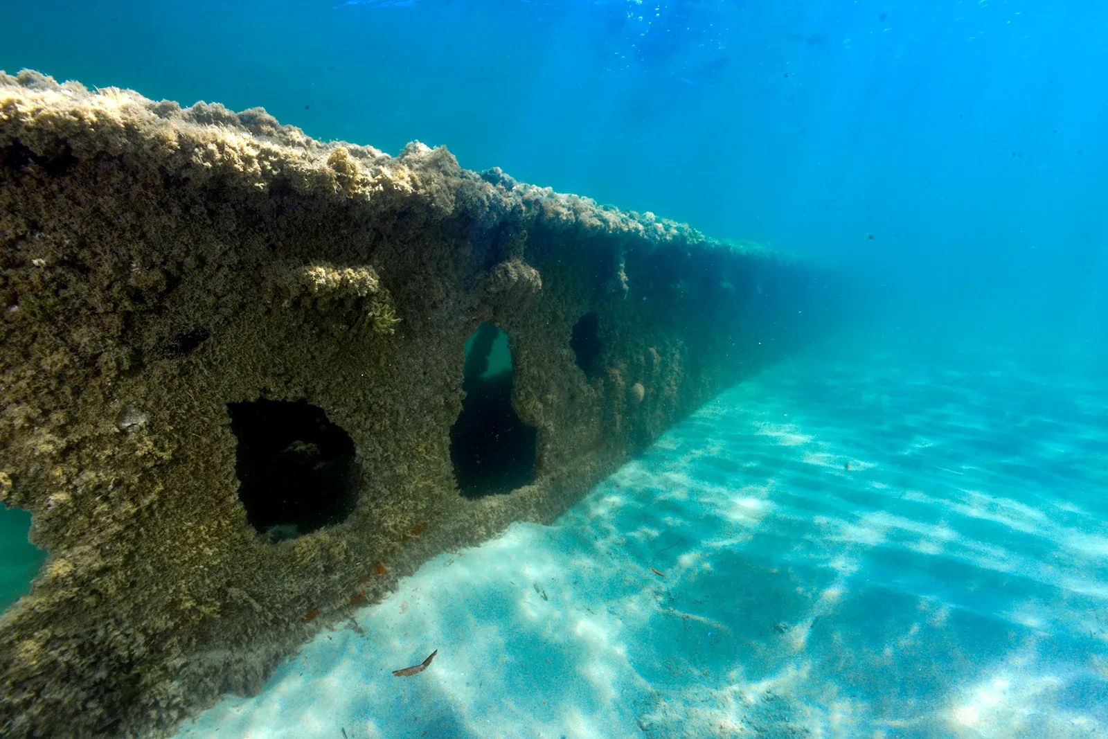 Diving Gelibolu