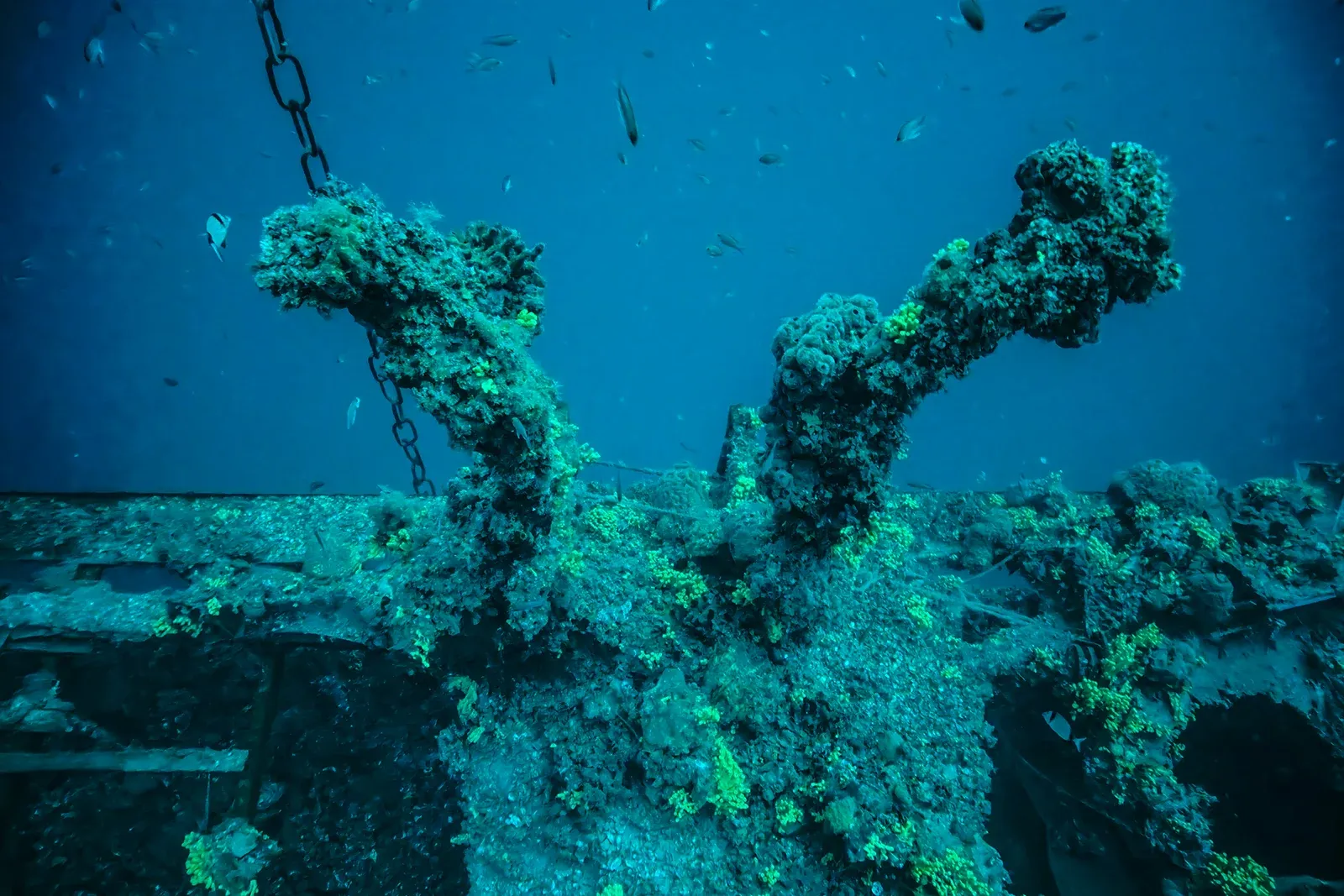 Diving Gelibolu